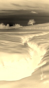 Sepia + Negatyw
