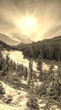 Sepia