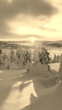 Sepia