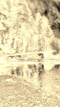 Sepia + Negatyw