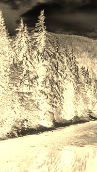 Sepia + Negatyw