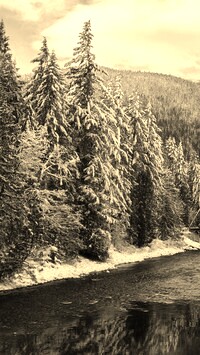 Sepia