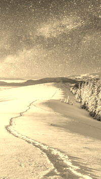 Szary + Sepia