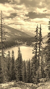 Sepia