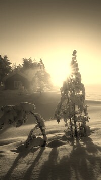 Szary + Sepia