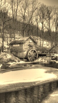 Szary + Sepia