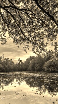 Szary + Sepia