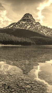 Szary + Sepia