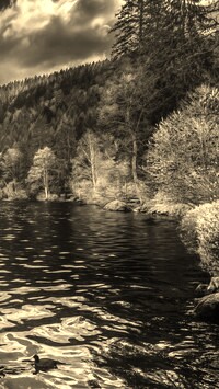 Sepia