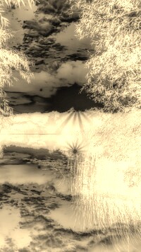 Sepia + Negatyw
