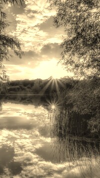 Szary + Sepia