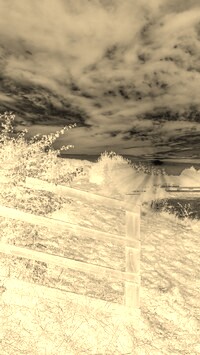 Sepia + Negatyw