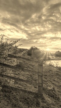 Szary + Sepia