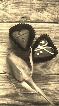 Szary + Sepia