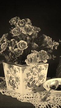 Szary + Sepia