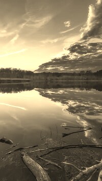 Szary + Sepia