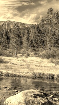 Sepia