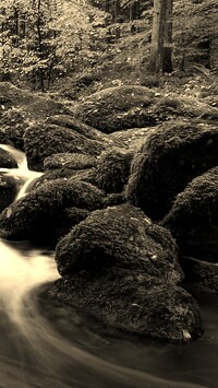 Szary + Sepia