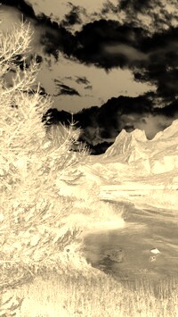 Sepia + Negatyw