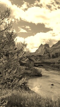 Szary + Sepia