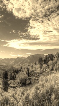 Szary + Sepia