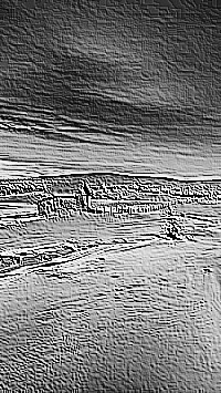 Skamielina