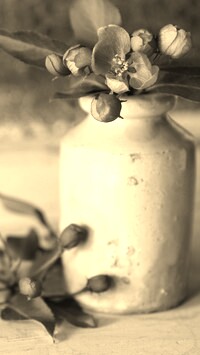 Szary + Sepia