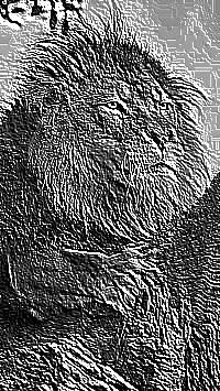 Skamielina