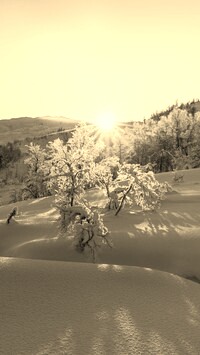 Szary + Sepia