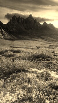 Sepia