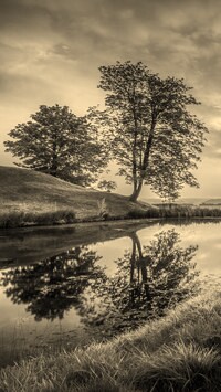 Szary + Sepia