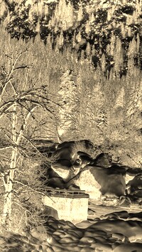Sepia + Negatyw
