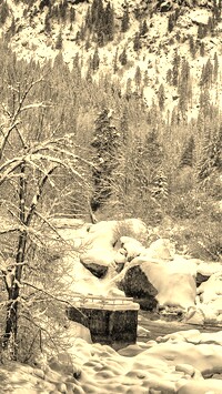 Szary + Sepia