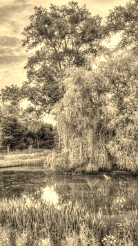 Szary + Sepia