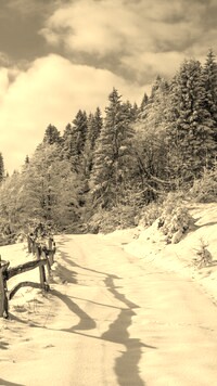 Sepia