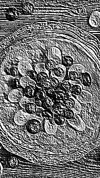 Skamielina