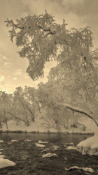 Szary + Sepia