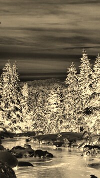 Sepia + Negatyw