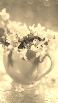 Szary + Sepia
