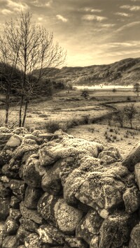 Szary + Sepia