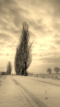 Szary + Sepia