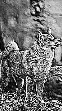 Skamielina
