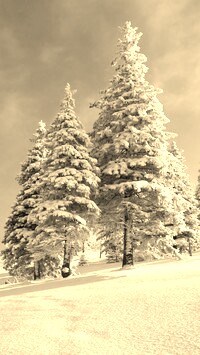 Szary + Sepia