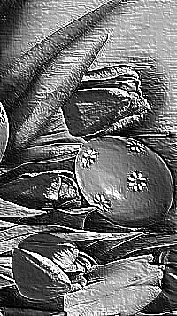 Skamielina