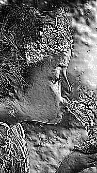 Skamielina