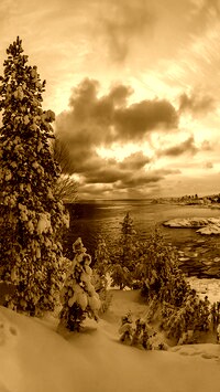 Sepia