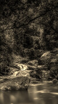 Szary + Sepia