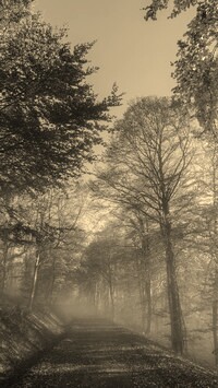 Szary + Sepia