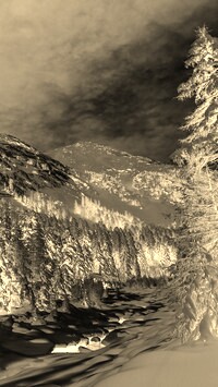 Sepia + Negatyw