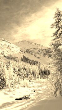 Szary + Sepia